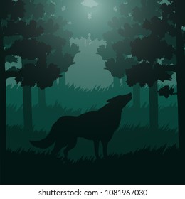 Illustration of of the misty forest with a wolf