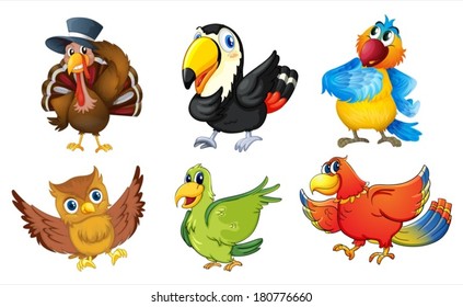 Illustration of the mixed birds on a white background