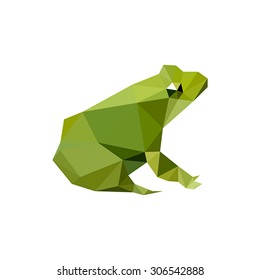 Illustration of modern flat design with origami frog, isolated on white background