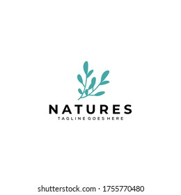 Illustration Modern natural leaf icon design logo concept icon template