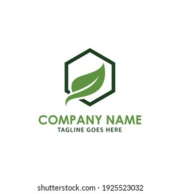 Illustration modern natural leaf icon design logo concept icon template