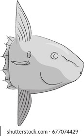 illustration of mola- mola
