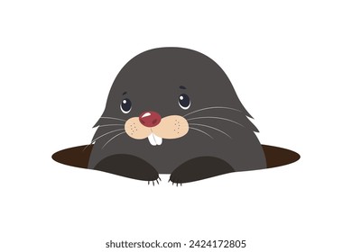 Illustration of a mole popping out of a hole on a white background. Flat.