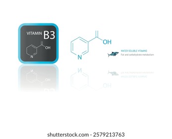 Illustration of the molecular structure of vitamin B3 (niacin) with iconography highlighting its role in fat and carbohydrate metabolism.