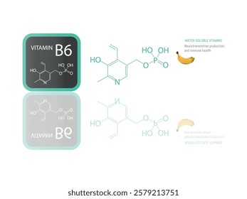 Illustration of the molecular structure of vitamin B6 (pyridoxine) with iconography highlighting its role in neurotransmitter production and immune system health.