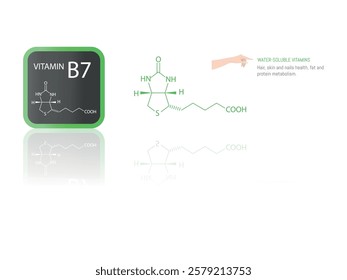 Illustration of the molecular structure of vitamin B7 (biotin) with iconography highlighting its role in hair, skin, and nail health, as well as fat and protein metabolism.