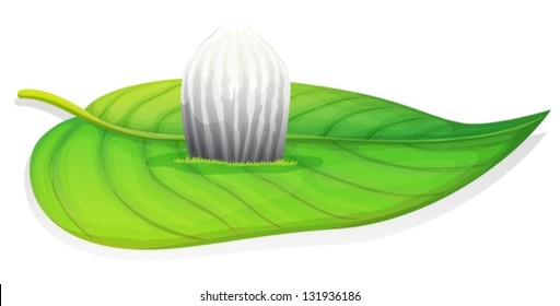 Illustration of the monarch butterfly egg stage