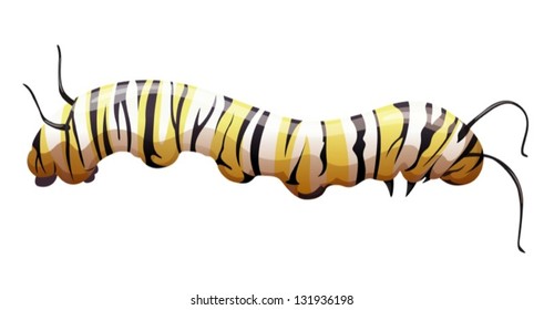 Illustration of the monarch butterfly larva stage