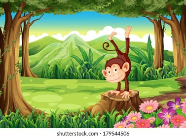 Illustration of a monkey above the stump