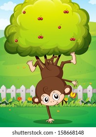 Illustration of a monkey doing a handstand inside the yard with a fence