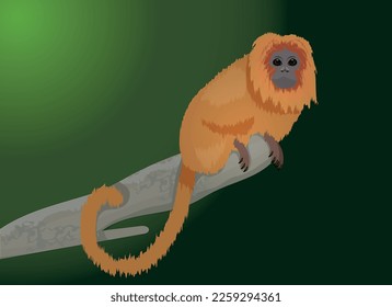 illustration of a monkey of the golden lion tamarin species, an animal of the Brazilian fauna.