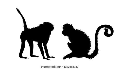 Illustration of monkey icon. Vector silhouette on white background.