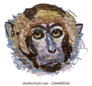 
Illustration of a monkey with many colors