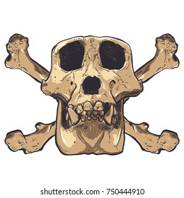 Illustration of a Monkey Skull on background. Vector.