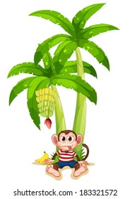 Illustration of a monkey under the banana plant on a white background