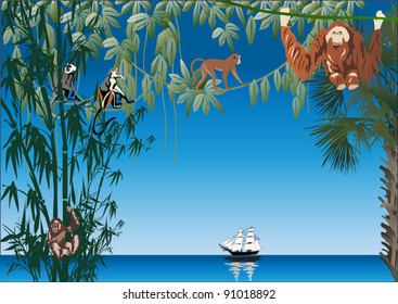illustration with monkeys near sea