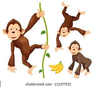 Illustration of  Monkeys vector