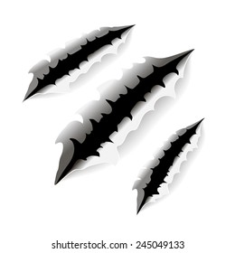 An illustration of a monster claw or hand scratch or rip through white background vector