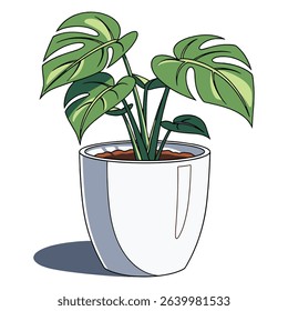 Illustration of a Monstera Deliciosa plant in a white pot on a white background