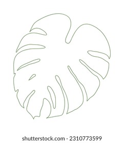 An illustration of a Monstera leaf drawing with simple lines. It has holes in the leaves and is often seen in tropical regions. It can be seen in many interior potted plants.