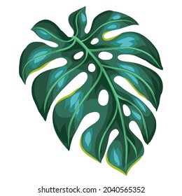 Illustration von Palmenblättern aus Monstera. Dekoratives Bild von tropischem Blattwerk und Pflanzen.