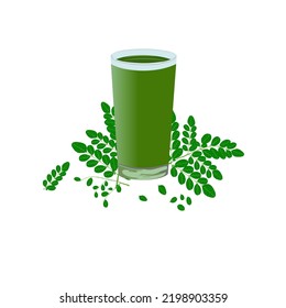 Illustration of Moringa (Moringa oleifera) leaf herbal drink for health. Vector design