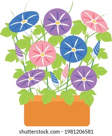 Illustration of morning glory flowers and buds in a planter