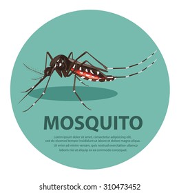 illustration.  mosquito cartoon