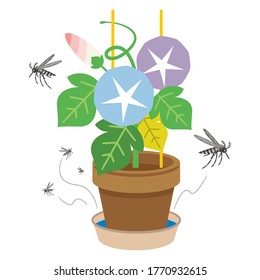 Illustration of a mosquito mosquito gathering in the water accumulated in the saucer of the flowerpot