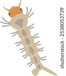 Illustration of Mosquito Larva Vector Art