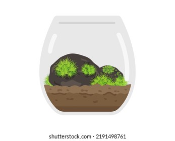 Illustration of a moss terrarium interior.