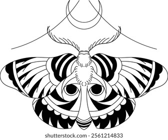 Illustration of a Moth flapping its darling perfectly