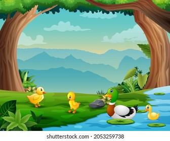 Illustration of a mother duck with her ducklings in the river