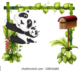 Illustration of a mother panda together with her baby on a white background
