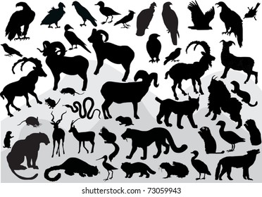 Illustration With Mountain Animals Collection Isolated On White