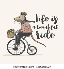 Illustration of Mouse on Penny Farthing, Vector