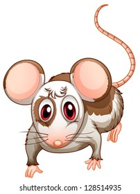 Illustration of a mouse on a white background