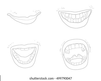 Illustration of mouth