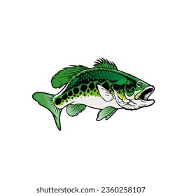 Illustration of a mouth bass fish on a white background, vector illustration