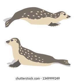 
Illustration of moving and sitting common seals isolated on white background. Vector 8 EPS