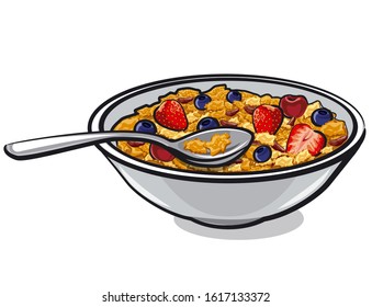 illustration of the muesli with berries in the plate