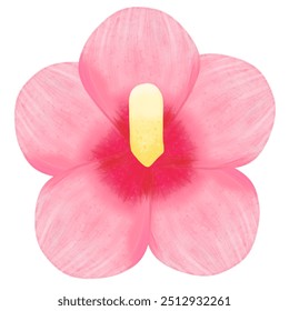 Illustration of a Mugunghwa flower, Flower of Korea, Rose of Sharon.