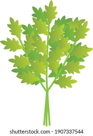 An illustration of the mugwort