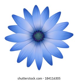 Illustration of a multi-petal flower on a white background