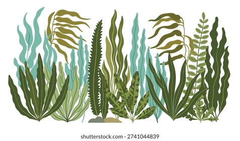 Illustration of multiple varieties of green and blue seaweed plants growing together in a dense underwater forest arrangement.