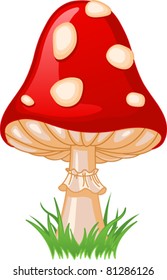 Illustration of Mushroom amanita in a grass