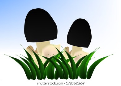 illustration of Mushroom Amanita Pachycolea, black hat, white leg, growing in the grass, on a white-blue background
