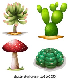 Illustration of a mushroom and cacti on a white background