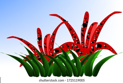 illustration of Mushroom Clathrus archeri, red hat with black spots, growing in the grass on a white and blue background