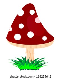 Illustration of the mushroom fly agaric on white background is insulated